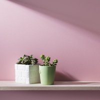 メインルームのアクセントクロス