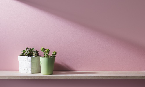 メインルームのアクセントクロス