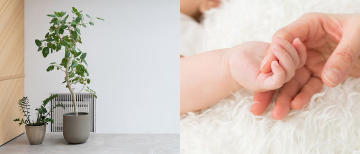 お部屋の心地よさを重視した内装材を使用